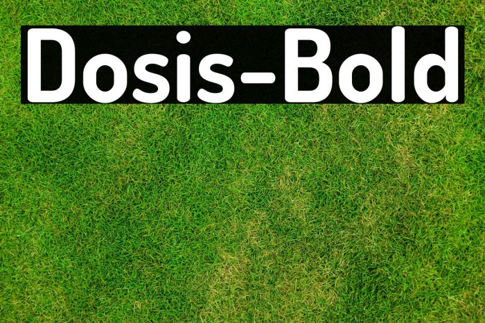 Dosis-Bold Example 2