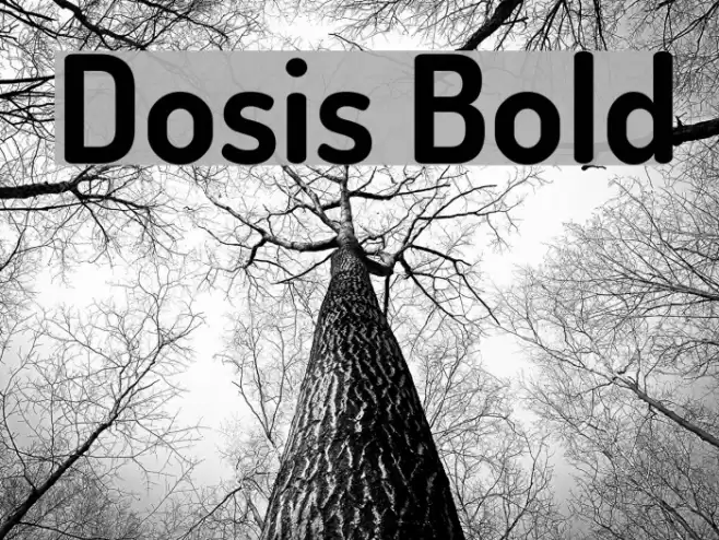 Dosis Bold Font examples