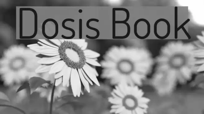 Dosis Book Font examples