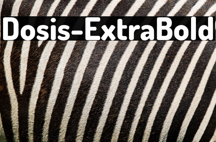 Dosis-ExtraBold Example 1