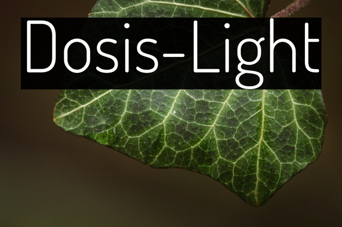 Dosis-Light Example 3