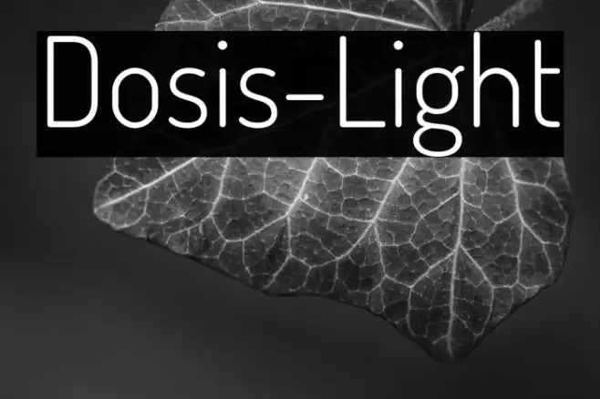 Dosis-Light Example 3