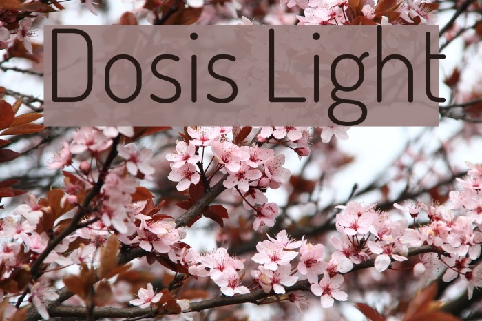 Dosis Light Example 1