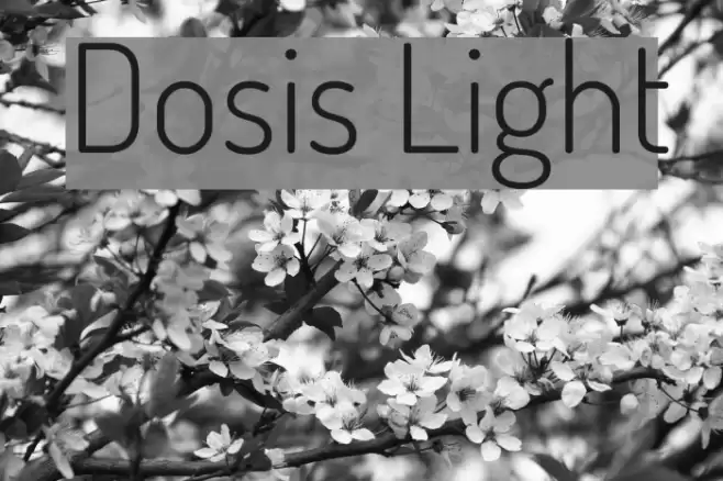 Dosis Light Font examples