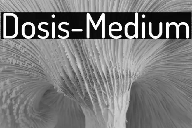 Dosis-Medium Example 3