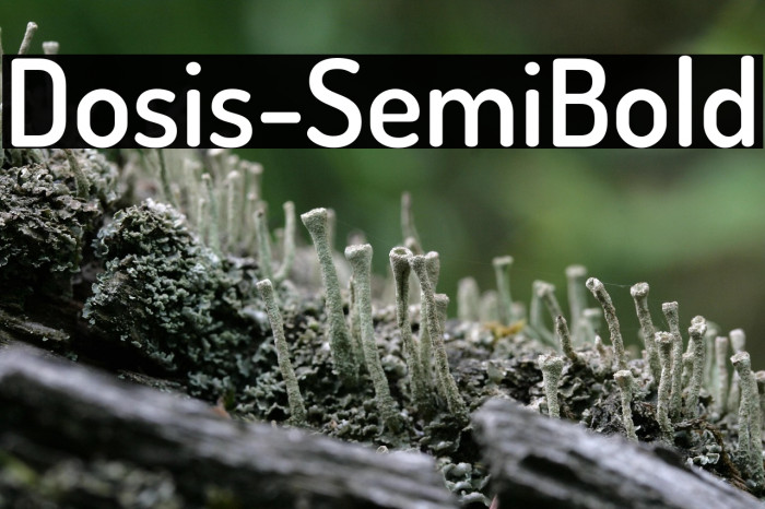 Dosis-SemiBold Example 3