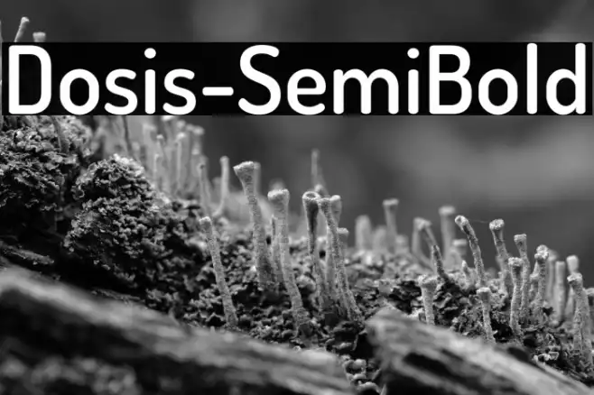 Dosis-SemiBold Example 3