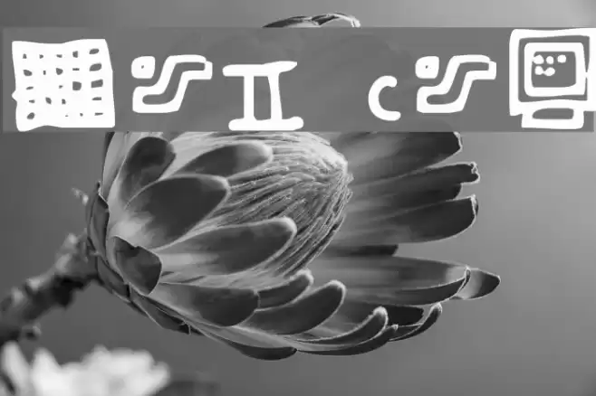 Dot Com Fonte examples