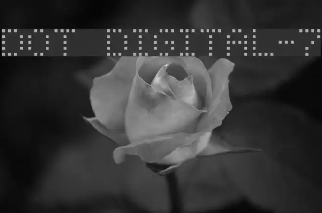 Dot Digital-7 Example 1