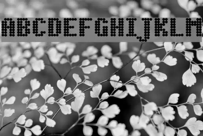 Dot Matrix Bold Font examples