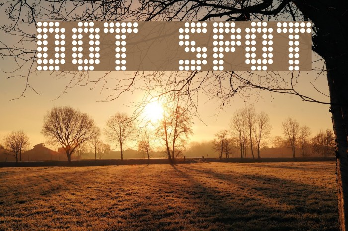 Dot Spot Font examples