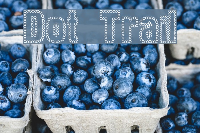 Dot Trail Font examples