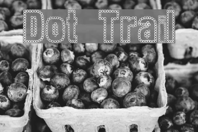Dot Trail フォント examples