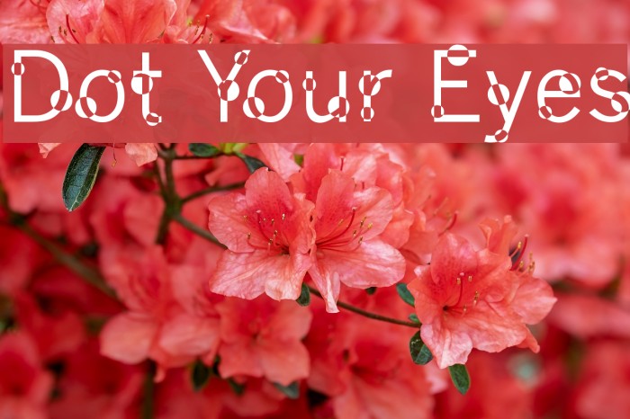 Dot Your Eyes Font examples
