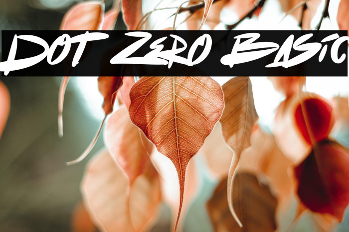 Dot Zero Basic Example 2