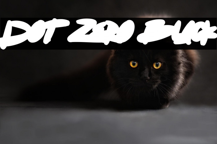 Dot Zero Black Example 3