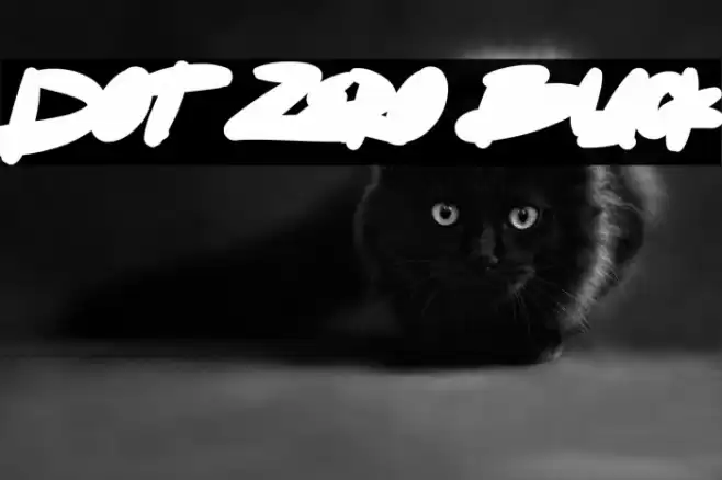 Dot Zero Black Font examples