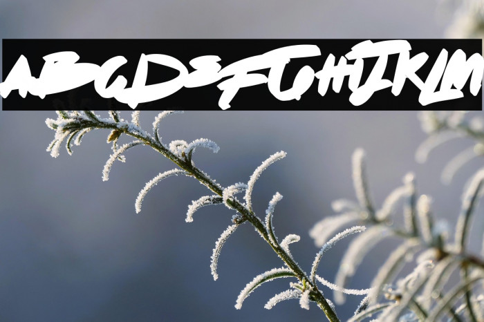 Dot Zero Blackshadow Example 2