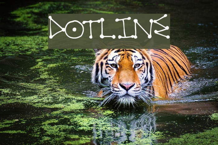DotLine Font examples