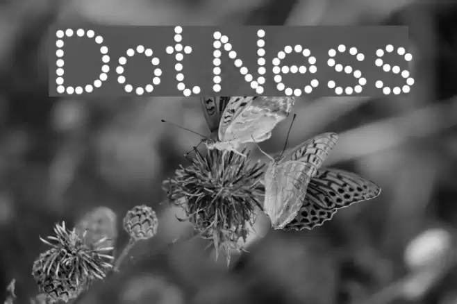 DotNess Font examples