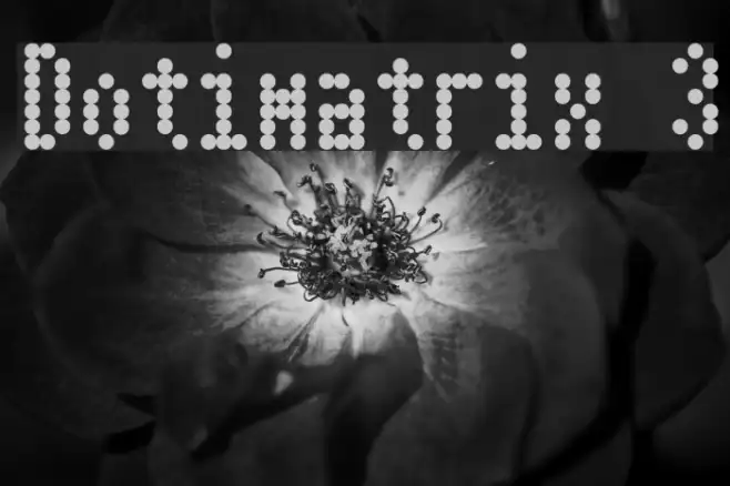 Dotimatrix 3 Example 1