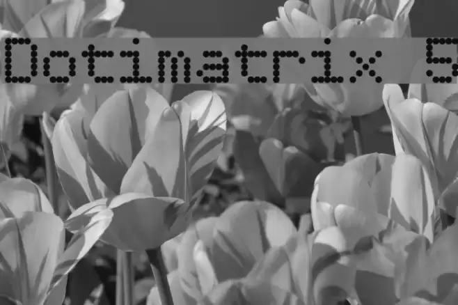 Dotimatrix 5 Font examples
