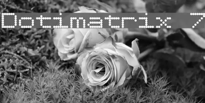 Dotimatrix 7 Font examples
