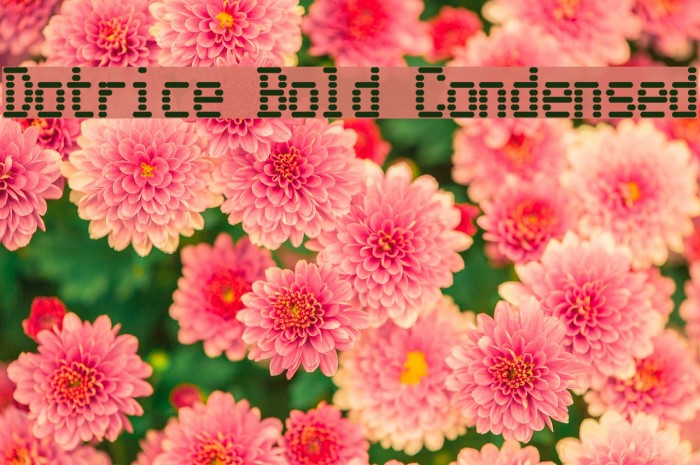 Dotrice Bold Condensed Font examples