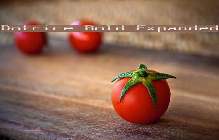 Dotrice Bold Expanded Font examples