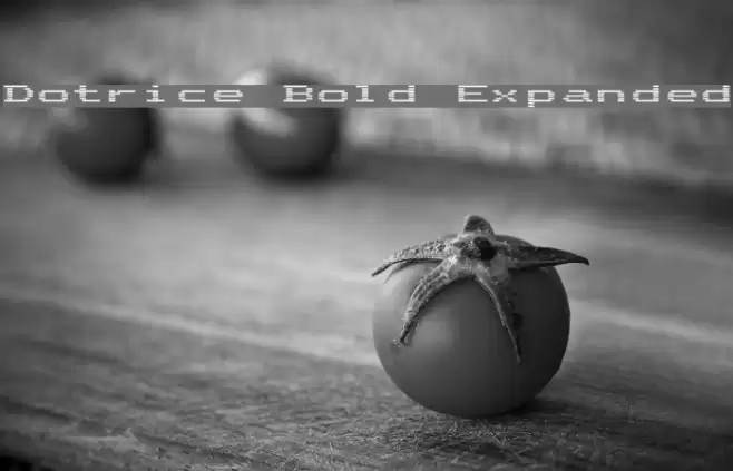 Dotrice Bold Expanded Font examples