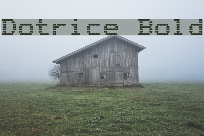 Dotrice Bold Font examples