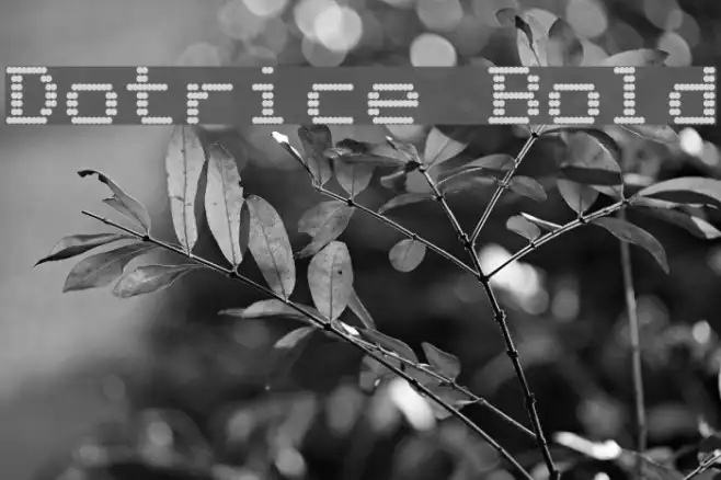 Dotrice Bold Example 3