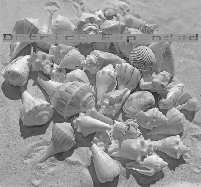 Dotrice Expanded Example 2