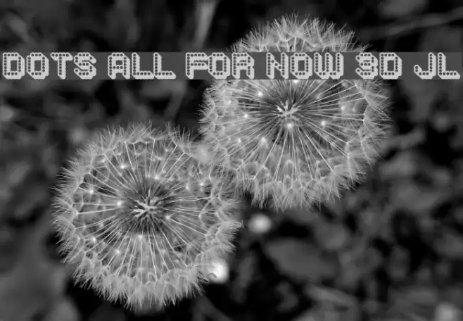 Dots All For Now 3D JL Font examples