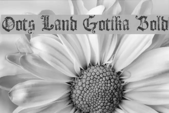 Dots Land Gotika Bold Font examples