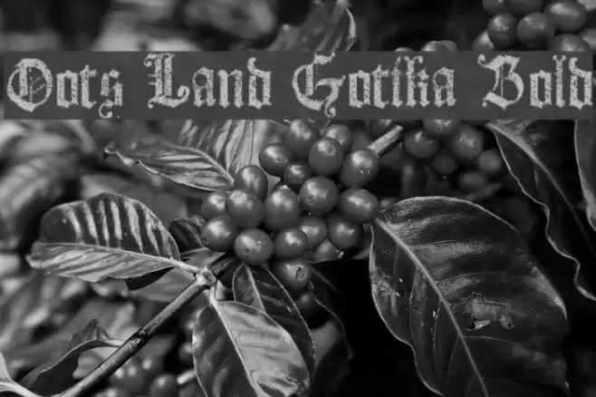 Dots Land Gotika Bold Font examples