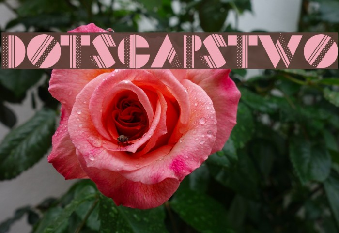 DotsCapsTwo Font examples