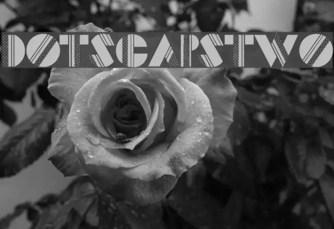 DotsCapsTwo Example 2