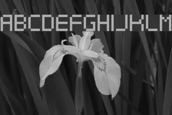 Dotspitch Font examples