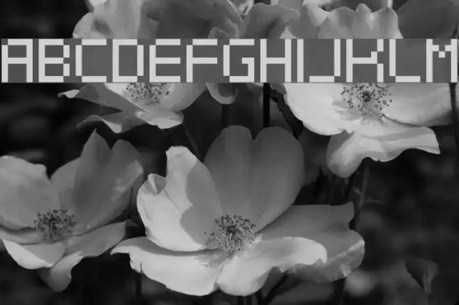 Dotspitch Font examples