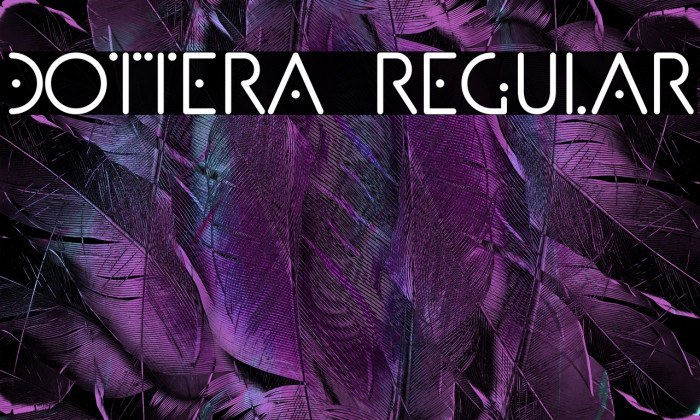 Dottera Regular Example 1