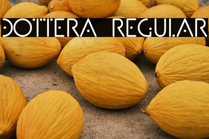 Dottera Regular Example 2