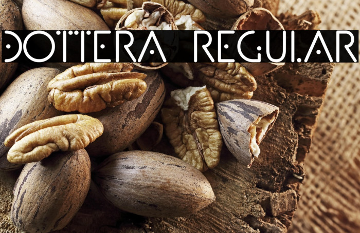 Dottera Regular Example 3