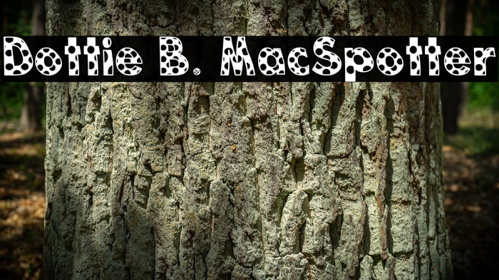 Dottie B. MacSpotter Font examples
