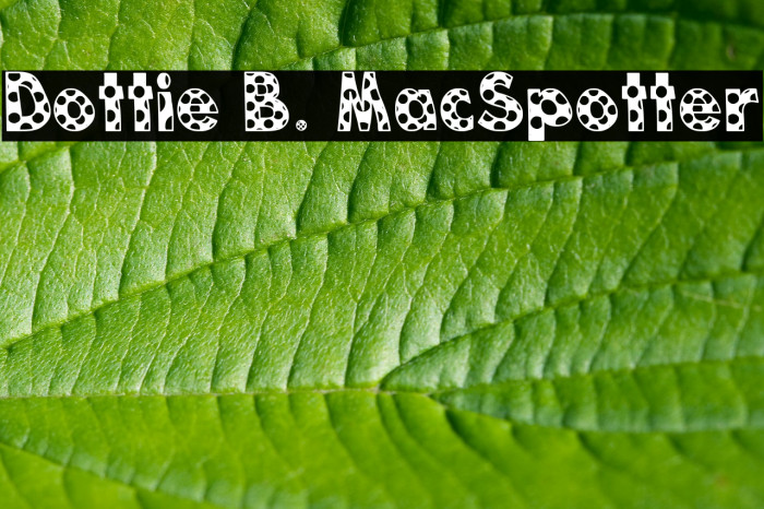 Dottie B. MacSpotter Font examples