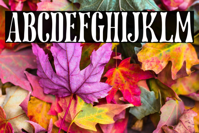 Dottingham Example 2