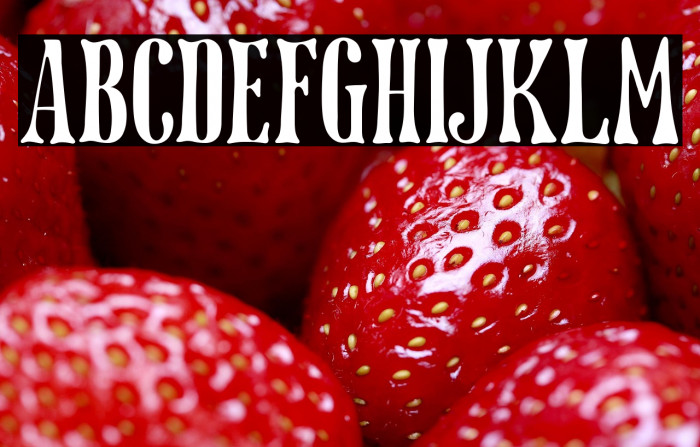 Dottingham Example 3