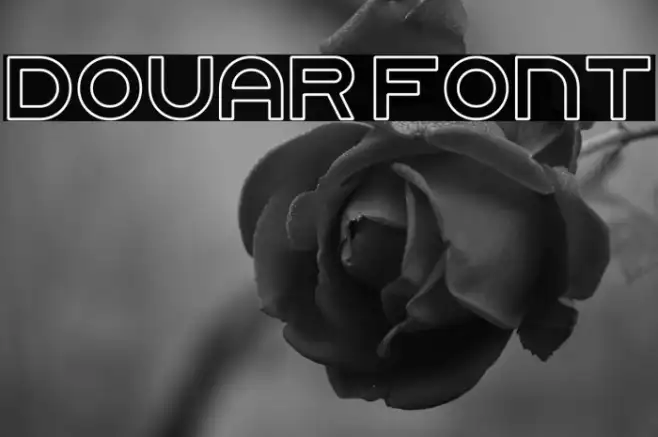 Douar Example 3