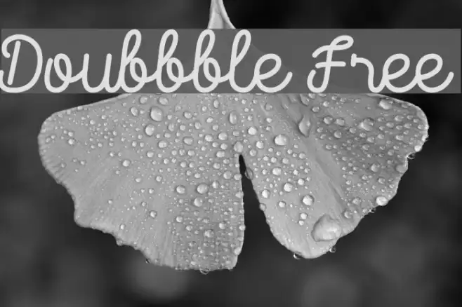 Doubbble Free Example 1