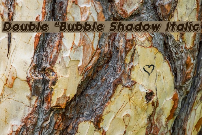 Double `Bubble Shadow Italic Font examples